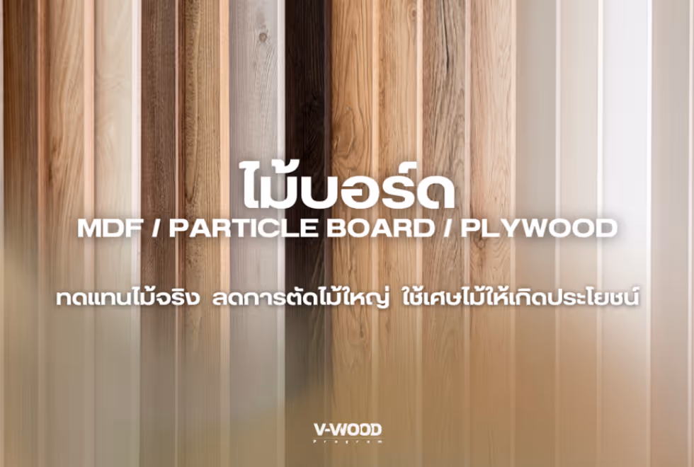 ทำไม “เฟอร์นิเจอร์ยั่งยืน” ถึงเป็นเทรนด์สำคัญในปี 2025 - ไม้บอร์ดคุณภาพ